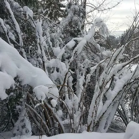 Διαμέρισμα Vallee Des Lacs Le Tholy