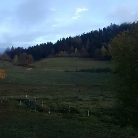Vallee Des Lacs Apartment Le Tholy