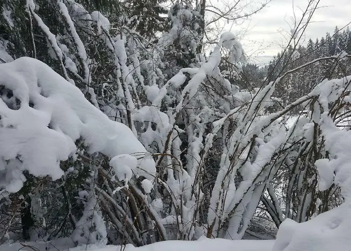 Apartmán Vallee Des Lacs Le Tholy